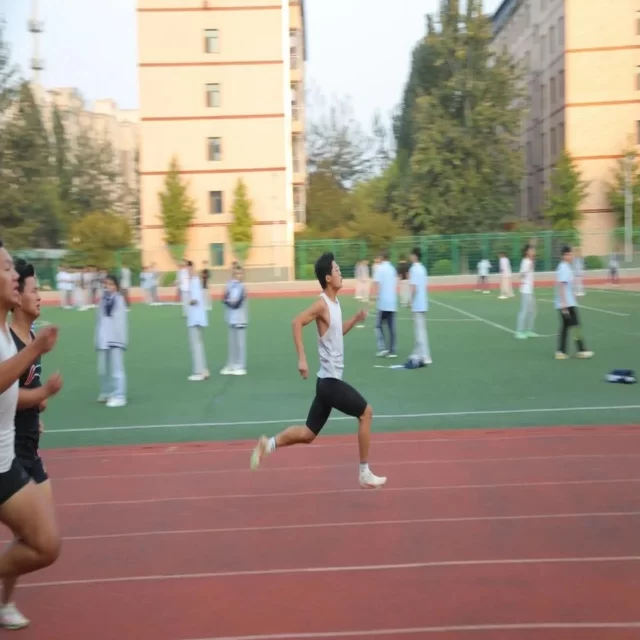 把握新闻资讯核心数据,解读行业趋势新方向